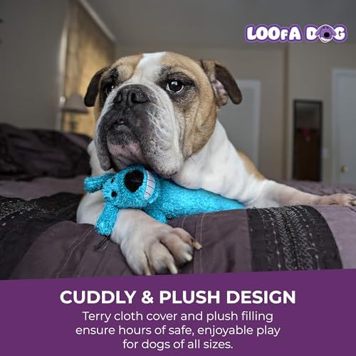 Multipet Loofa Dog Plush Toy - Image 5