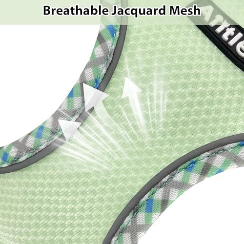 AIITLE Small Dog Harness and Leash Set - Image 4