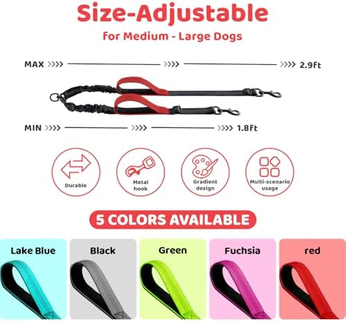 Double Dog Leash - Image 2