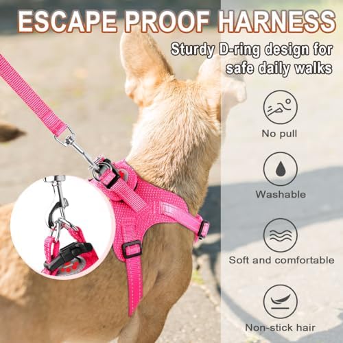 BARKBAY Small Dog Harness, No Pull Puppy Harness, Step-in Dog Vest - Image 4