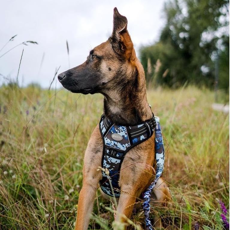 AUROTH Tactical Dog Harness for Large Dogs, Heavy Duty No Pull Pet Vest - Image 5