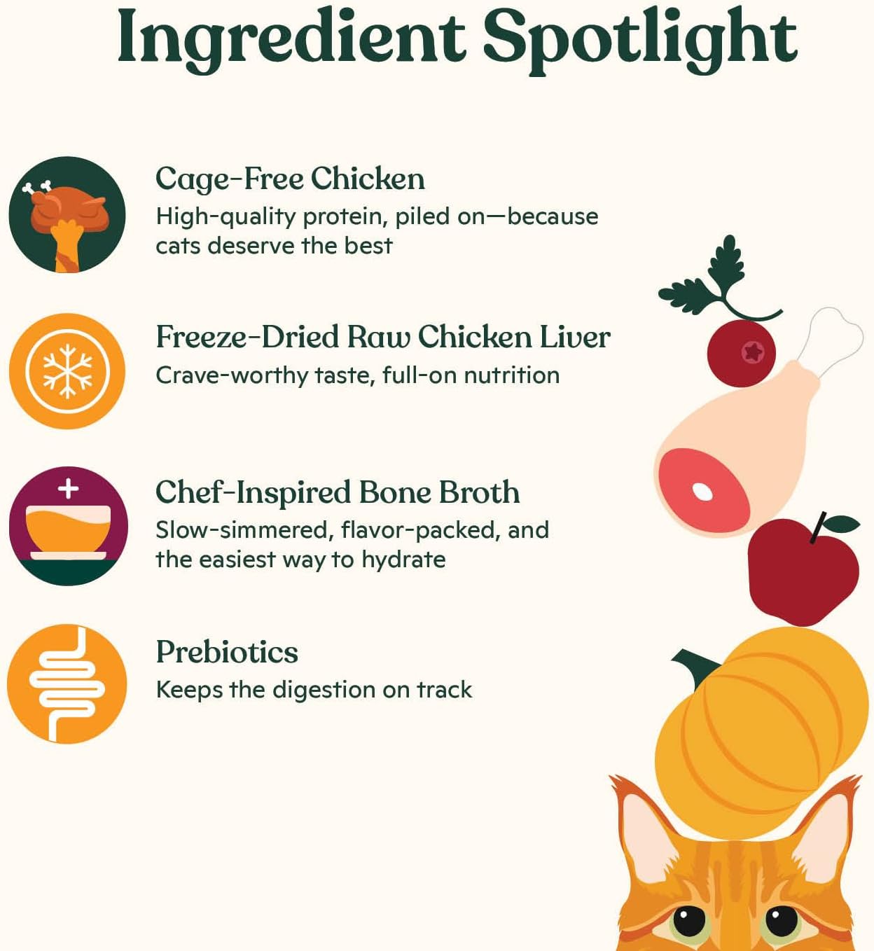 Made by Nacho Dry Cat Kibble 10lb Bag, High Protein Premium Cat Food with Freeze-Dried Pieces, Cage-Free Chicken, Duck & Quail, Limited Ingredients, Single Bag