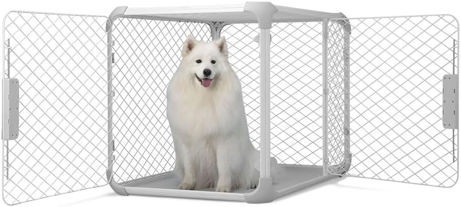 DIGGS Evolv Dog Crate - Slim, Durable Dog Kennel with Removable Ceiling Panel and Modular Design - Safe, Stylish, Convenient (Ash, Large)