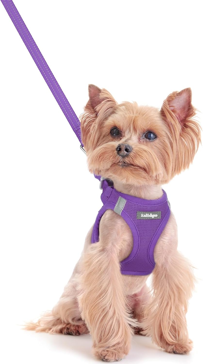 rabbitgoo Dog Harness Small Sized and Leash Set, Step in Soft Light Puppy Vest, Breathable Mesh Pet Harness, Reflective for Safe Outdoor Walking, Purple XXS