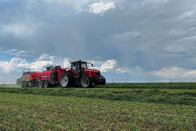 Bunny Honey Organic Alfalfa Hay for Guinea Pigs 12 lb Dim wt/5 lb High-Protein & Calcium, Supports Growth & Dental Health, Fresh & Nutritious