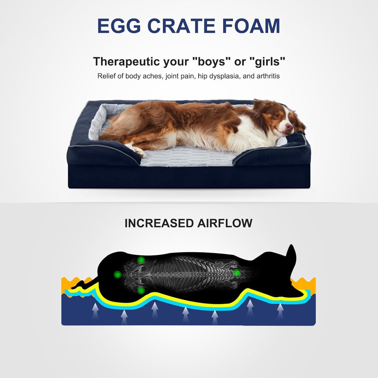 FURTIME Orthopedic Dog Bed for Small Dogs - Waterproof Dog Sofa Beds Small, Supportive Foam Pet Couch Bed with Removable Washable Cover, Waterproof Lining and Nonskid Bottom, Navy Blue