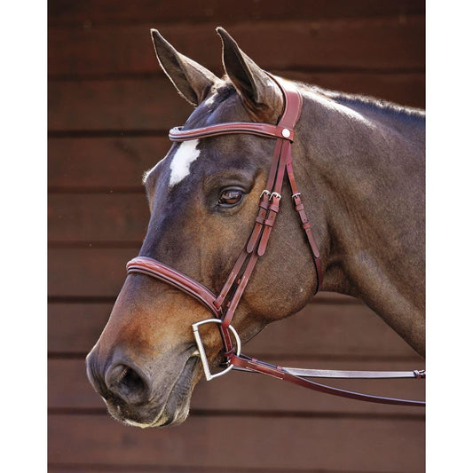 Dover Saddlery Ergonomic Hunter Bridle - Oakbark - Cob-C/S