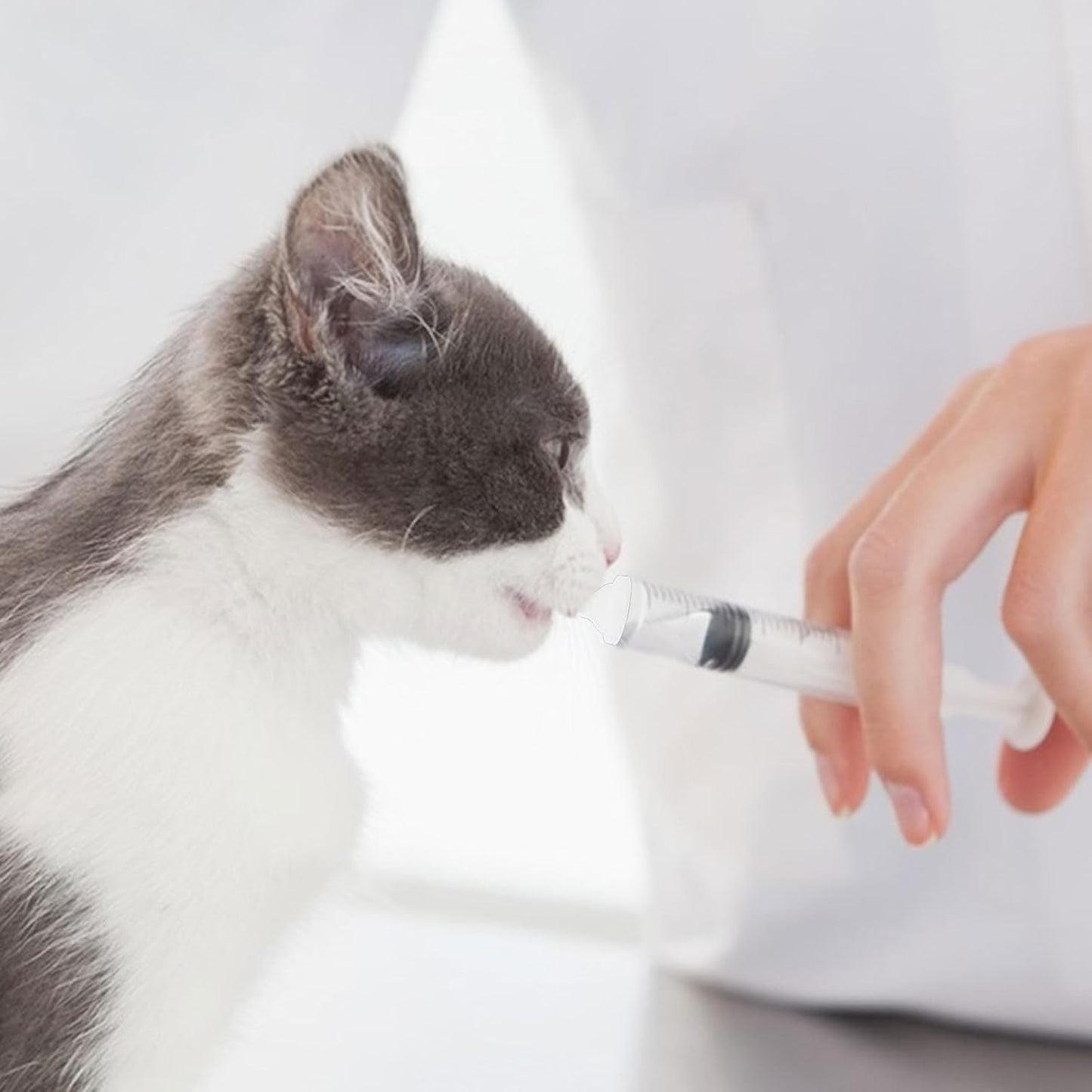 Suxgumoe Pet Feeding Bottle Set, Feeding Silicone Nipple with Bottle and Syringes, Reusable Pet Nursing Kits Feeding Tools for Rabbits, Small Animals (1 Bottle+3 Nipples+2 Syringes + 1 Cup+ 1 Spoon)