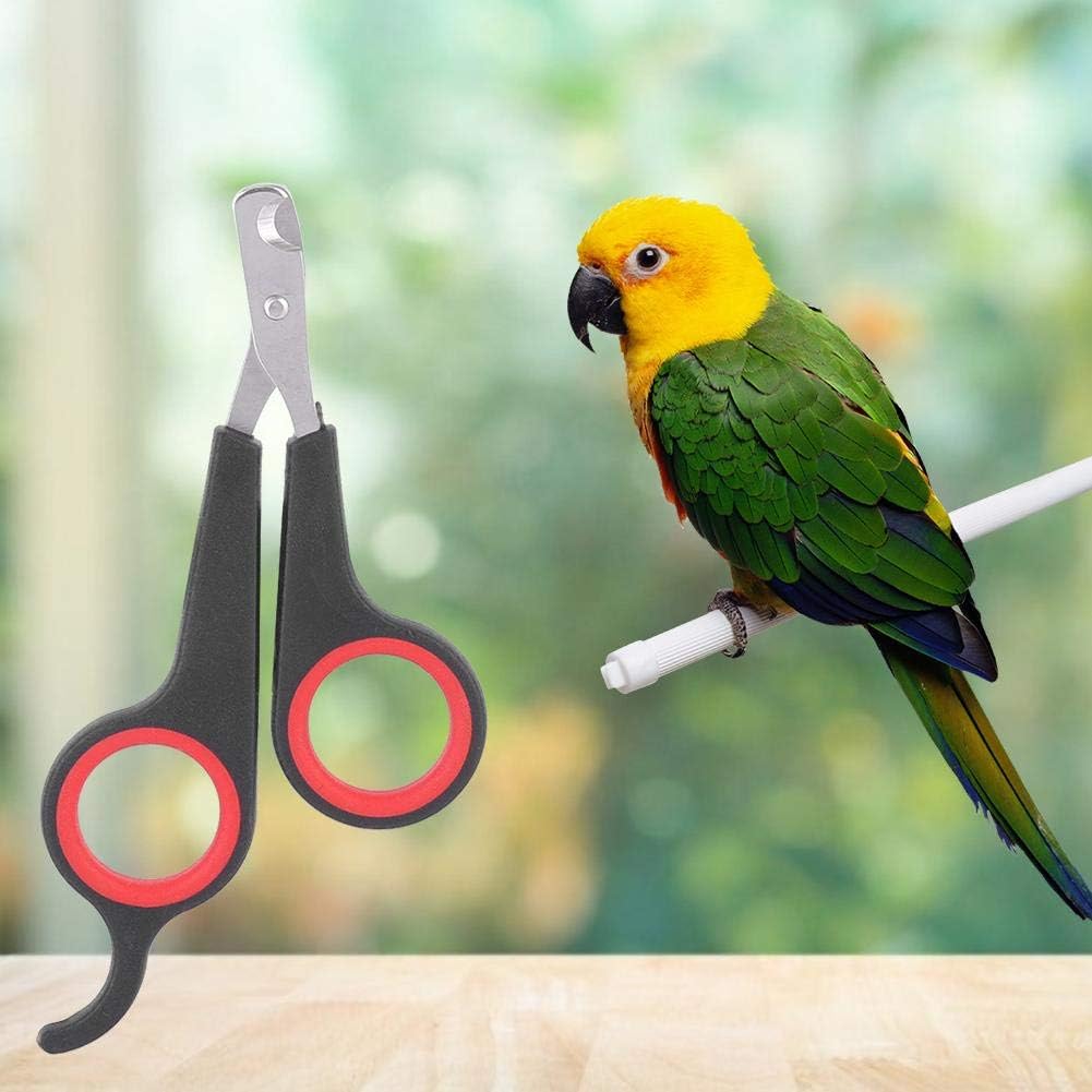Bird Nail Clipper Grooming Tool Nail Scissors Clipper Pet Bird Parrot Small Animals Accessory for Small Parrot Birds