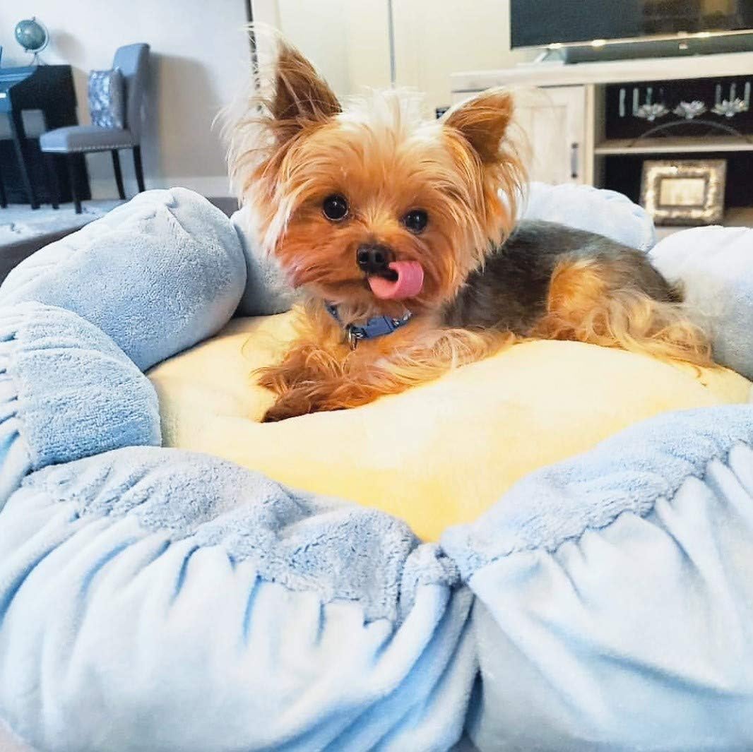 TONBO Soft Plush Small Cute and Cozy Nature Dog Cat Bed, Washer and Dryer Friendly (Blue Flower)