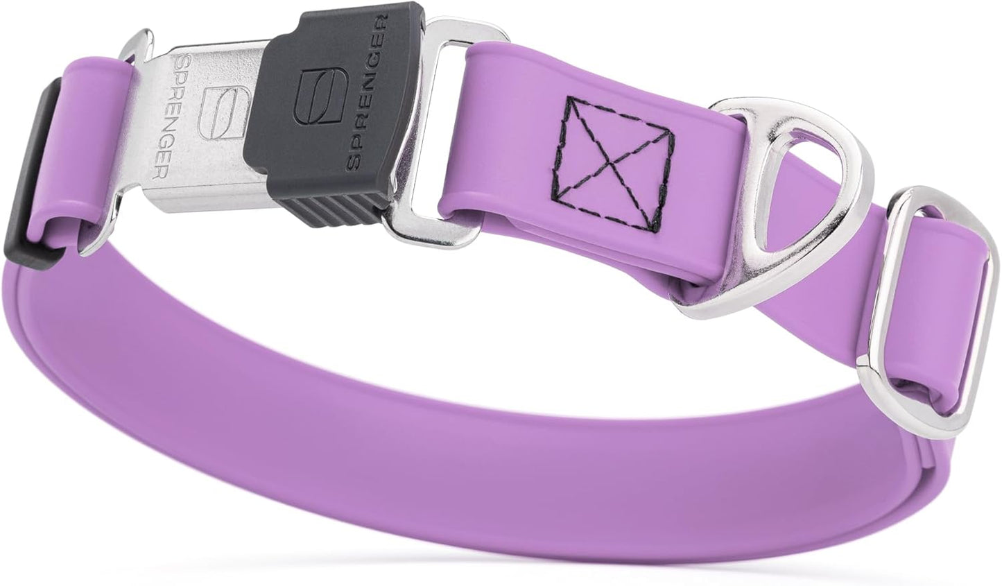 Dogline Biothane Waterproof Dog Collar with Herm Sprenger Stainless Steel Quick Release Buckle – Heavy Duty Tactical Durable Collar for Dogs – Comfortable and Safe Pet Collar, W 1" L 15-25", Amethyst