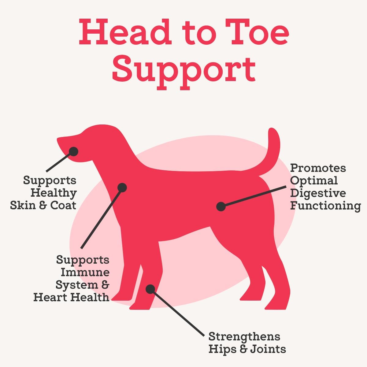 Dr. Joseph's VetPro Complete Multivitamin Dog Supplement, 120 Count (Large Dog 60 Day Supply), 5in1 Chew with Vitamins, Enzymes & Nutrients, Hip & Joint Health, Immune System & Allergy Support