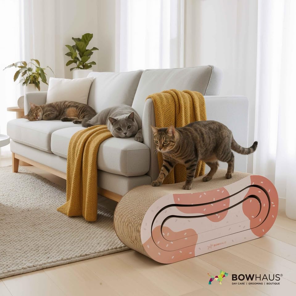 BOWHAUS 3 in 1 Cat Scratch Board, Cat Scratcher Lounger - Image 6