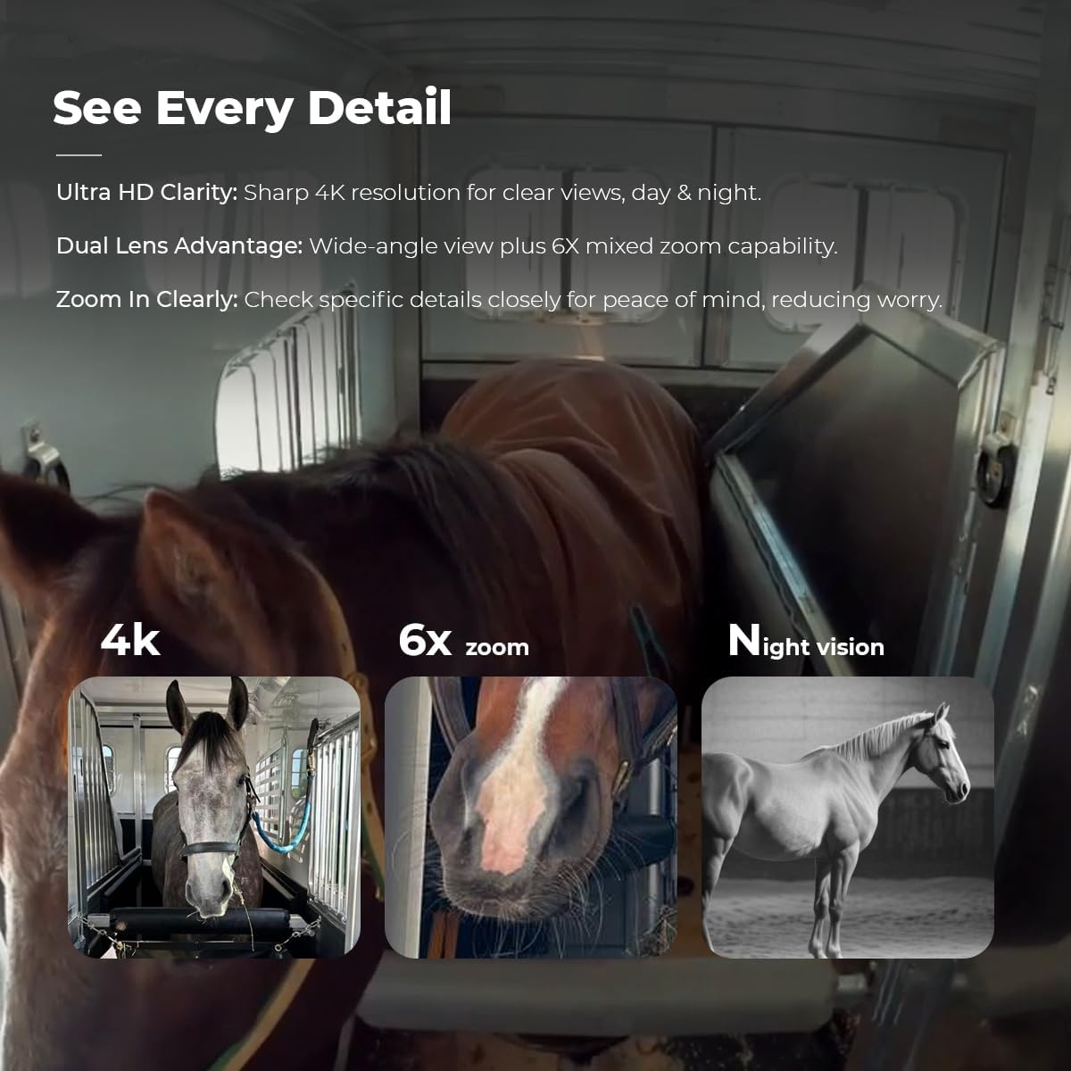 NomadEye Wireless Horse Trailer Camera – 4K Live Video & 2-Way Audio – WiFi Connect – Magnetic Mount – 15Hrs Recording – Night Vision – iOS & Android App (3 Pack)