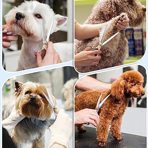 JASON Dog Grooming Scissors Kit - Image 2
