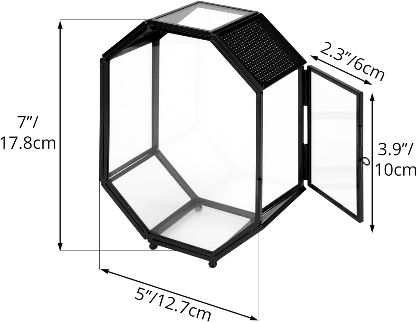 NCYP Mini Glass Terrarium with Vent and Door for Succulents Plants, Jumping Spiders, Insect - Octagon Small Closed Geometric Enclosure, Black Indoor Tabletop Decor, 5 x 2.3 x 7 Inches (Terrarium Only)