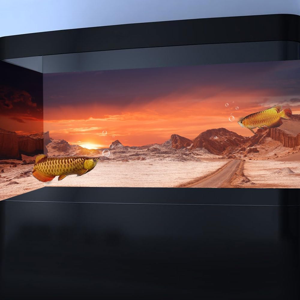 24X12IN Sun and Desert Moon Themed Reptile Habitat on Orange Durable Decorative Background, Terrarium Background with 10EVA Double-Sided Tape