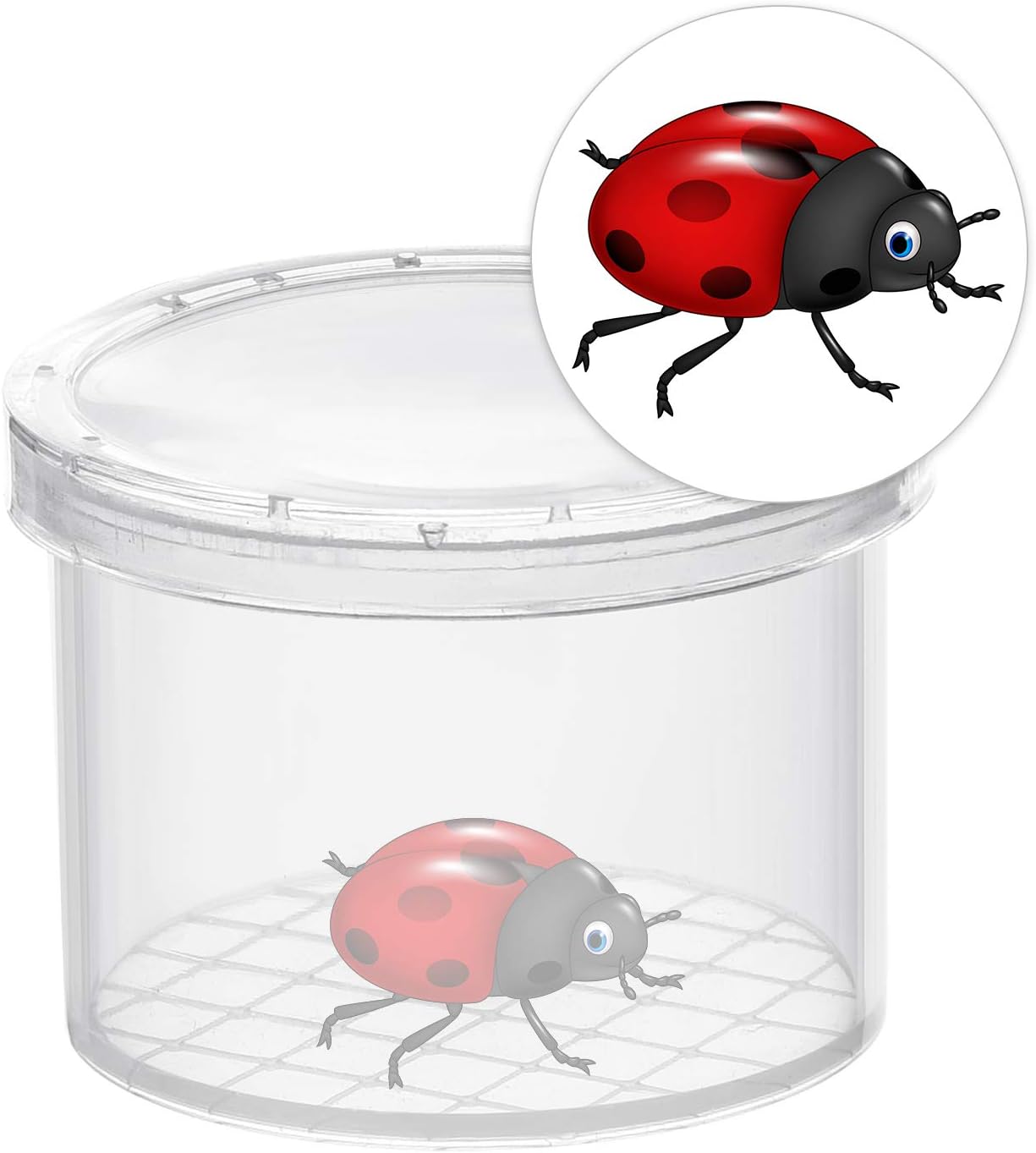 Coopay 120 Pieces Bug Viewer Critter Insect Cage Magnifying Insect Box Bug Magnifier Container Catcher Cage, Science Nature Exploration Tools