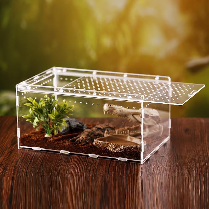 Magnetic Acrylic Case, Micro Habitat Small Tarantula Enclosure Enclosure for arboreal Tarantula Scorpion Sling Lizards Mantis Snake Gecko Jumping Spider Snail Insect Isopods (12 * 8 * 6inch)