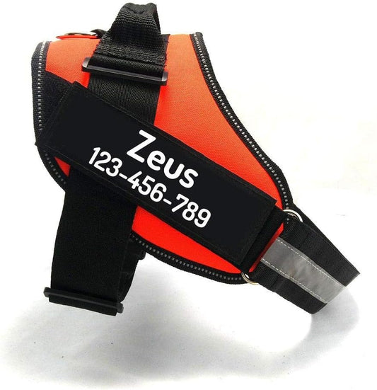 PawPawify Custom No Pull Dog Harness with Name and Phone Number, Heavy Duty Personalized Pet Vest to Prevent Tugging, Pulling, or Choking, Training and Walking (Orange, XXL (85-140 LBS))