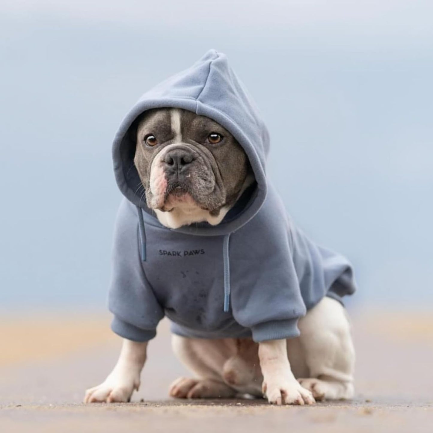 Spark Paws Dog Hoodie – Premium Dog Sweater for Small, Medium, and Large Dogs | Warm Outfits for French Bulldogs, Pitbull, Puppy, Winter Jacket Alternative - Slate Blue - XL