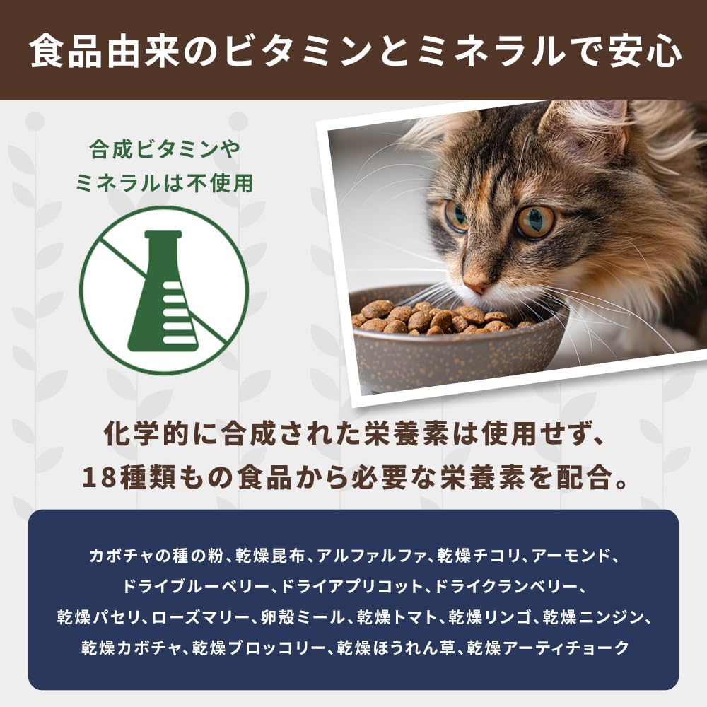 NATURE'S LOGIC Feline Chicken Meal Feast Cat Food - High-Protein Dry Food for Cats, 100% Natural Nutrition with Probiotics & Prebiotics - All Life Stages - Chicken, 3.3lbs (Pack of 3)