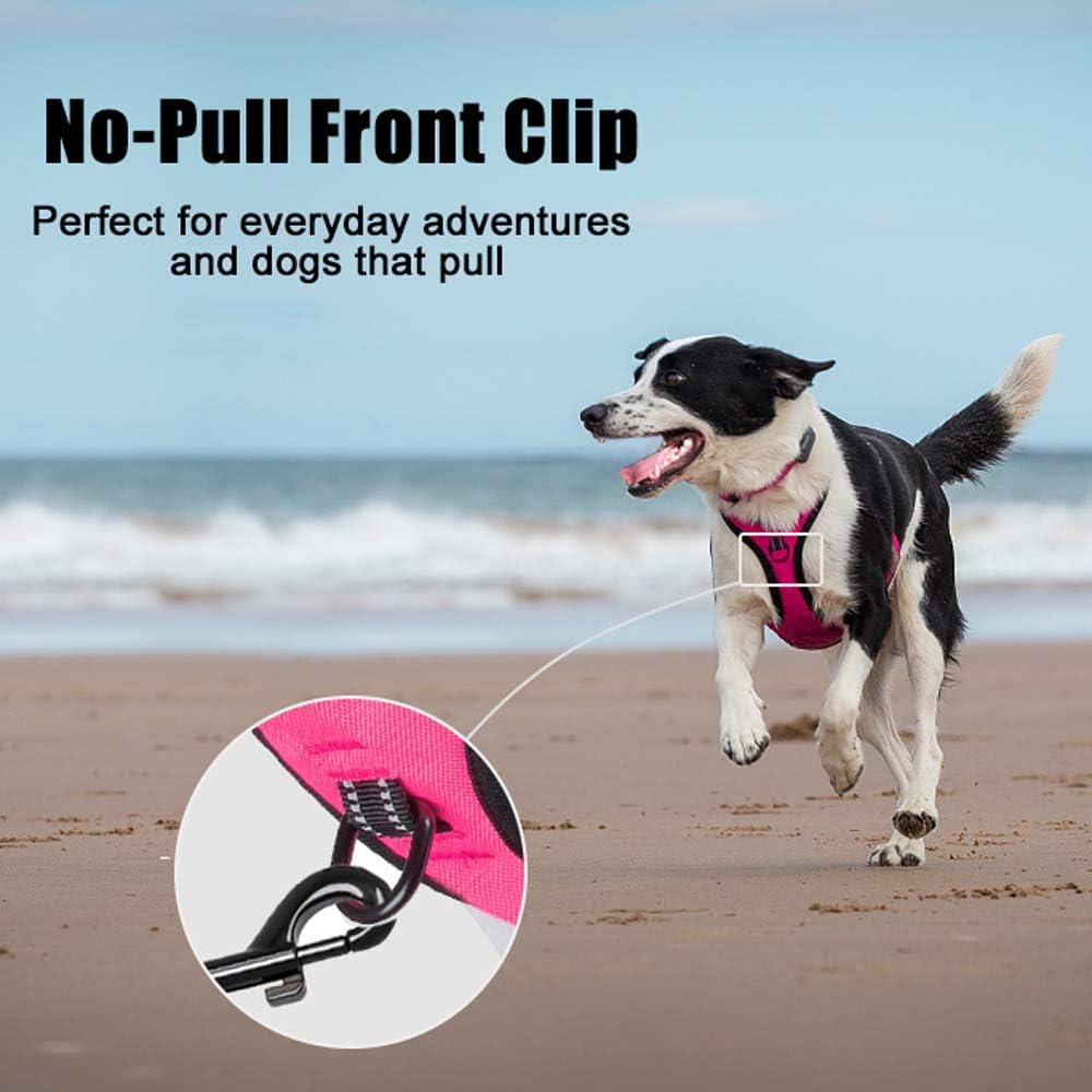 PoyPet No Pull Dog Harness, Reflective Comfortable Vest Harness with Front & Back 2 Leash Attachments and Easy Control Handle Adjustable Soft Padded Pet Vest for Small to Large Dogs (Pink,S)