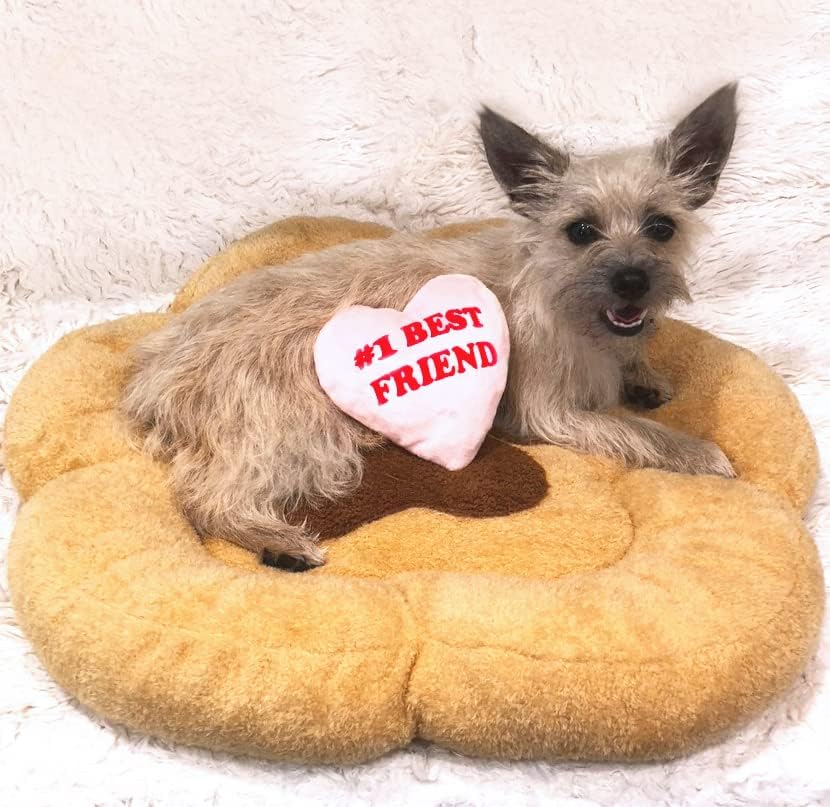 TONBO Soft Plush Small Cute and Cozy Nature Dog Cat Bed, Washer and Dryer Friendly (Paw)