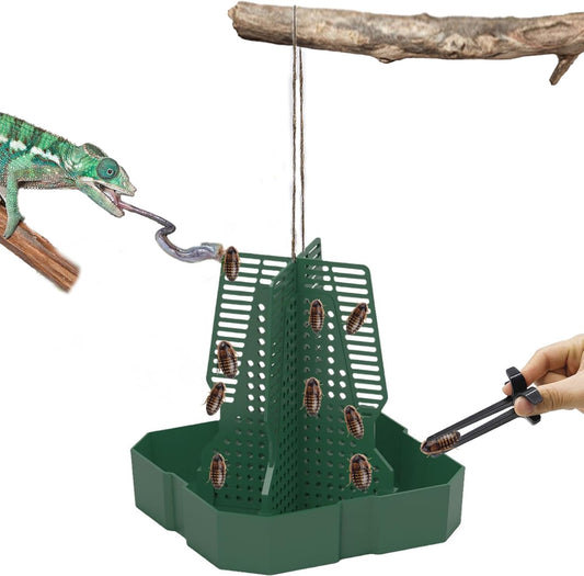Chameleon Feeder+Bearded Dragon Feeder for Mounted Insect with Rope and Tweezers, Tank and Aquarium Accessories for Lizard, Bearded Dragon, Gecko, Frog（Medium）