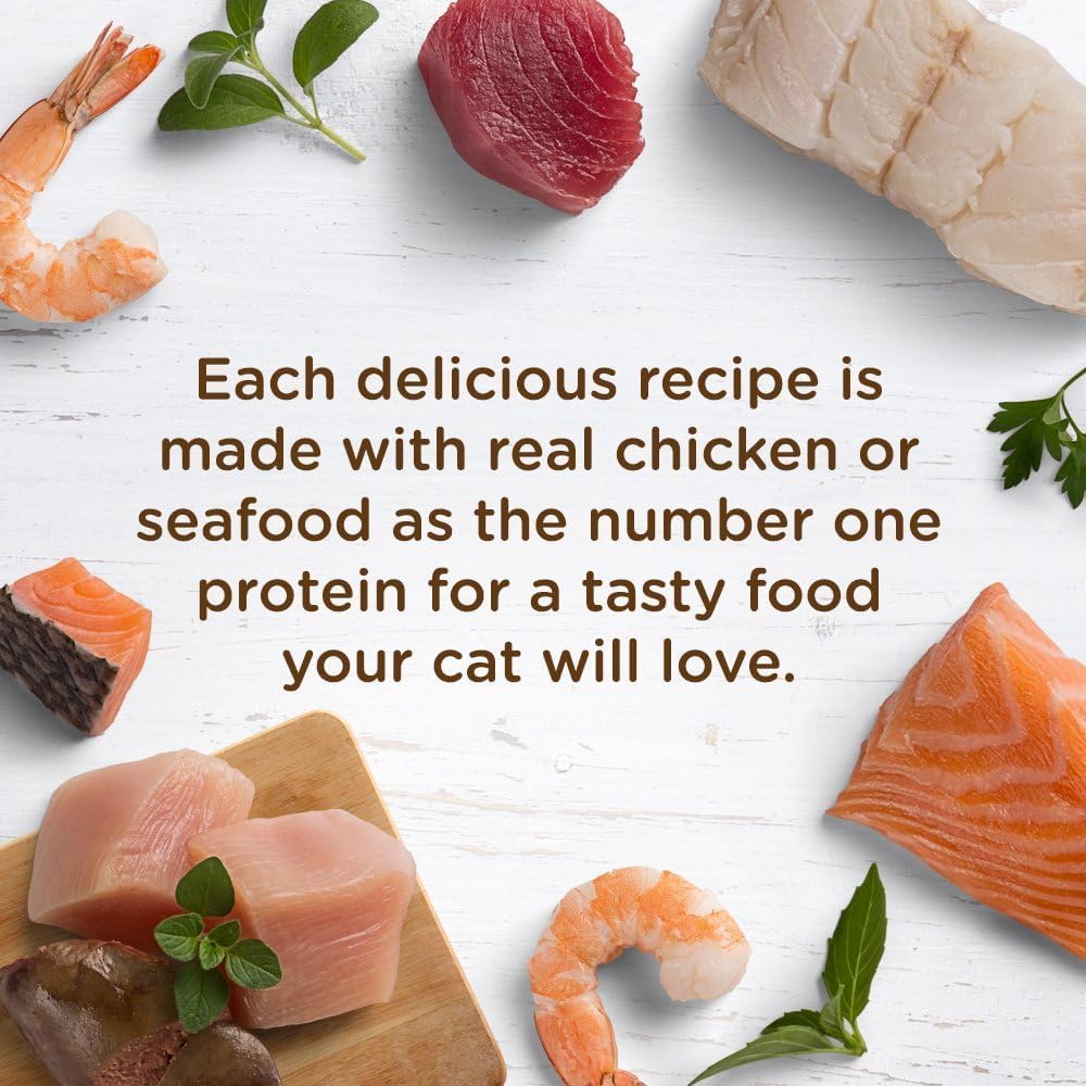 Rachael Ray Nutrish Premium Wet Cat Food, Chicken Lovers Variety Pack, Grain Free, 2.8 Oz. Tub, Pack Of 12