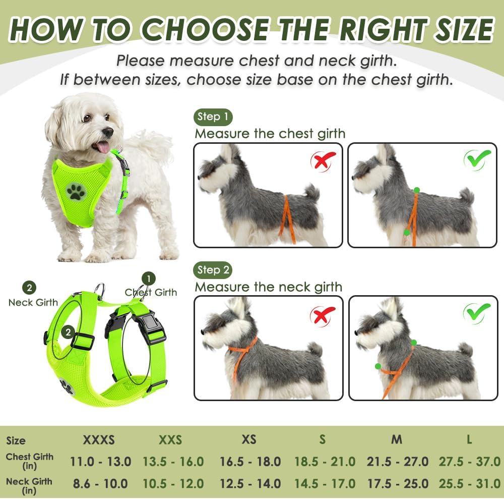 SlowTon Dog Seat Belt Harness for Car, Dog Car Harness Adjustable Mesh Breathable & Dog Seatbelt Safety Tether with Elastic Bungee for Small Medium Large Pets(Lime, Double Clip, XXXS)