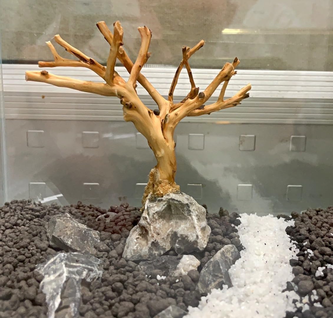 2pcs Small Bonsai Aquarium Tree,4-6inch,Handmade Aquarium Bonsai Tree Aquarium Decor Tree