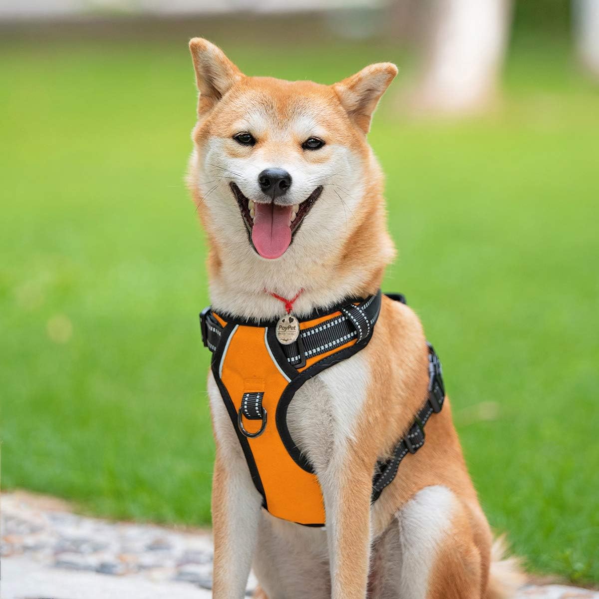 PoyPet No Pull Dog Harness, Reflective Comfortable Vest Harness with Front & Back 2 Leash Attachments and Easy Control Handle Adjustable Soft Padded Pet Vest for Small to Large Dogs (Orange,XS)