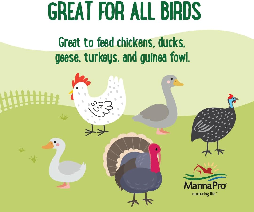 Manna Pro Farmhouse Favorites Beetle Bliss Poultry Treat – Blend of Mealworms and Beetles – All Natural Treat for Chickens, Ducks, Geese, Turkeys, & Guinea Fowl – 45% Protein – 25oz