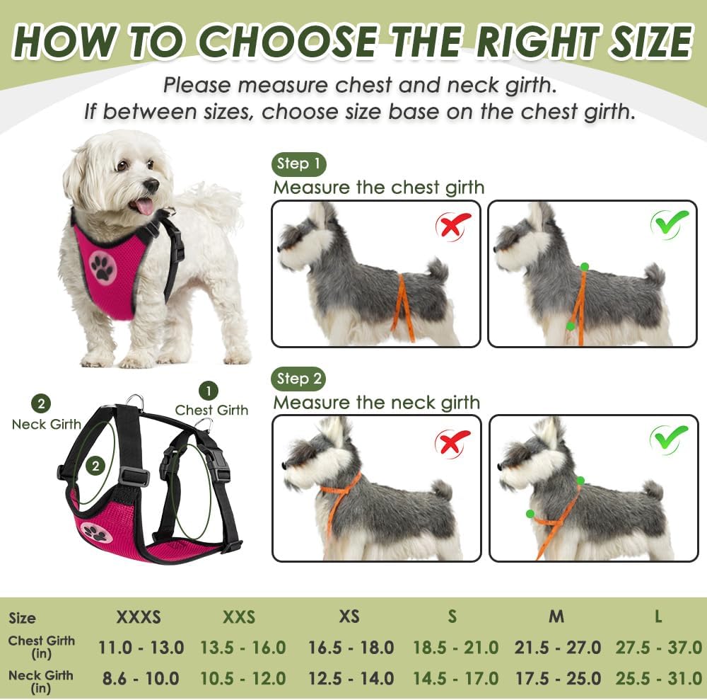 SlowTon Dog Seat Belt Harness for Car, Dog Car Harness Adjustable Mesh Breathable & Dog Seatbelt Safety Tether with Elastic Bungee for Small Medium Large Pets(Fuchsia, Double Clip, S)
