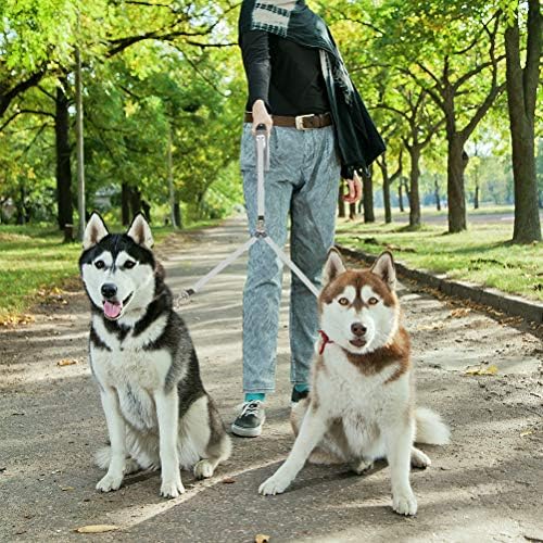 KOOLTAIL Dual Retractable Dog Leash - Image 2