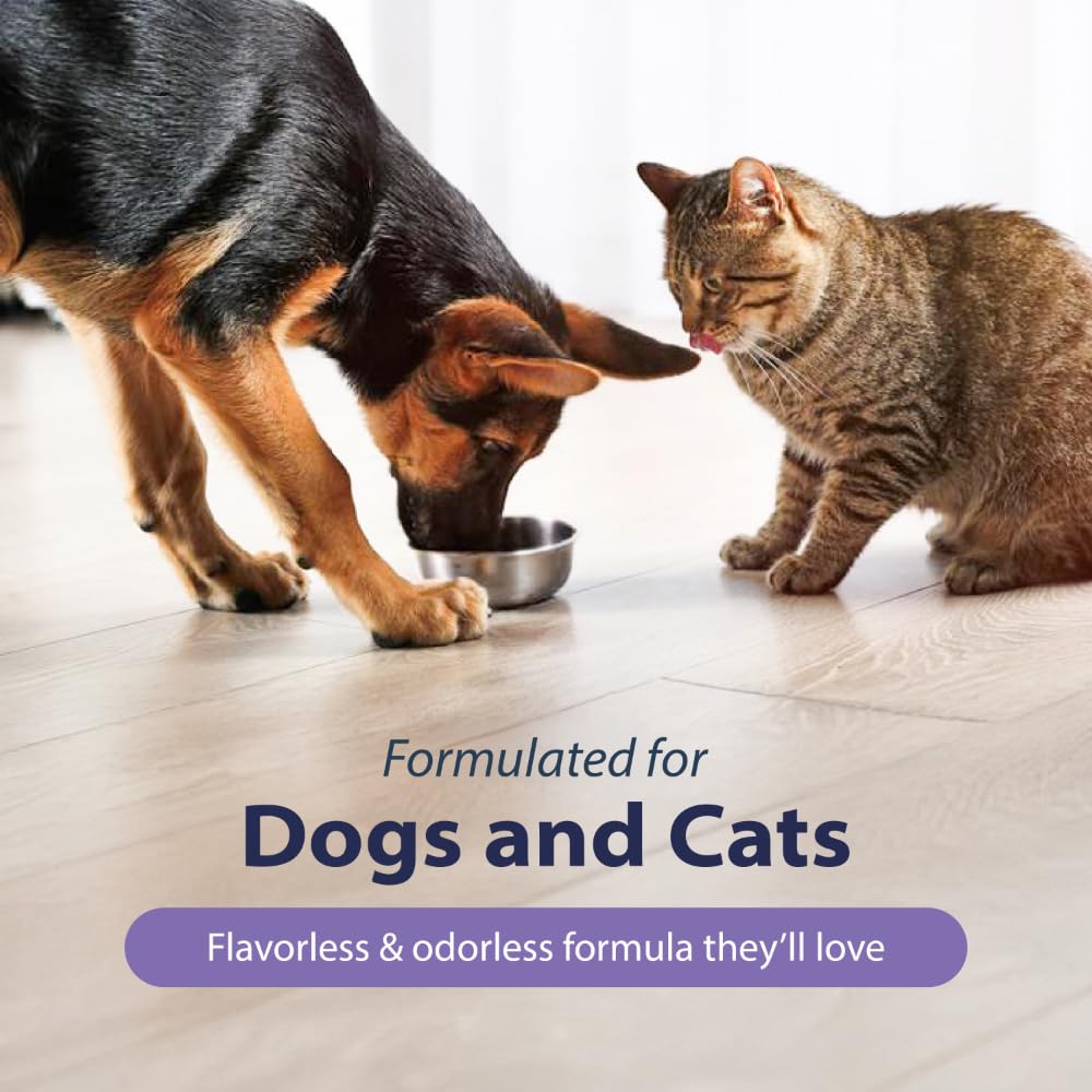 Dental Fresh Advanced Plaque and Tartar Water Additive, 32oz – Dog Teeth Cleaning Formula to Freshen Breath and Improve Cat & Dog Dental Care