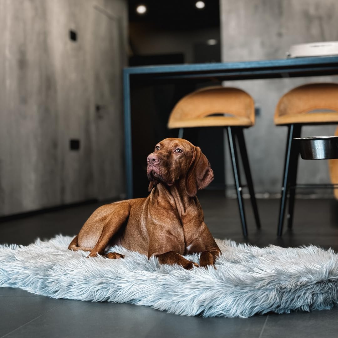 IHAPPYDOG Luxury Faux Fur Orthopedic Dog Bed, Memory Foam Dog Bed for Small, Medium, Large and XL Pets, Fluffy Pet Bed with Waterproof and Washable Cover (Grey, 60"x35")