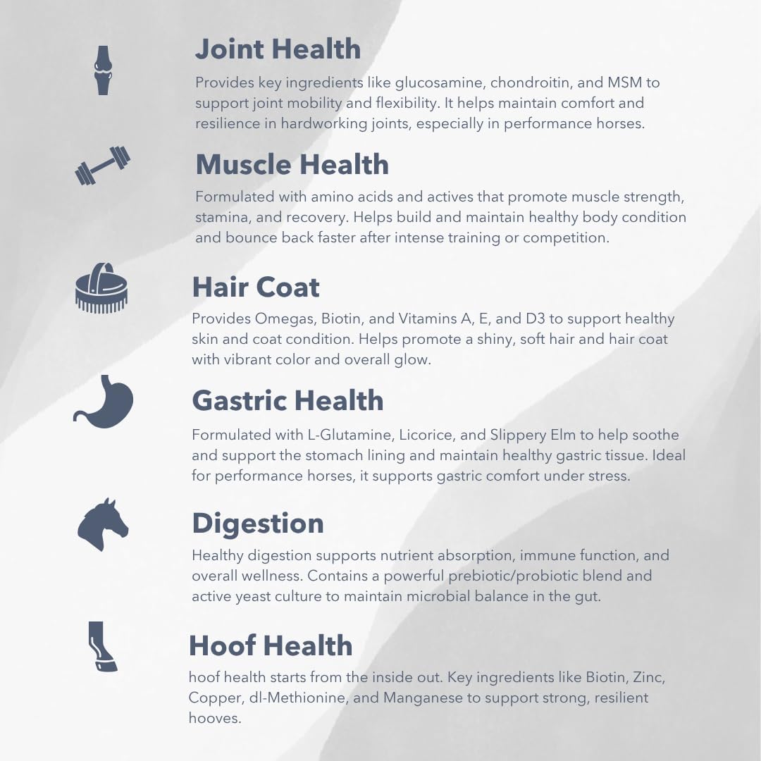 MVP Exceed 6-Way (16lb) High Level Performance Horse Support Pellets. Joint, hoof, Hair, gastric, Digestion and Muscle Support.