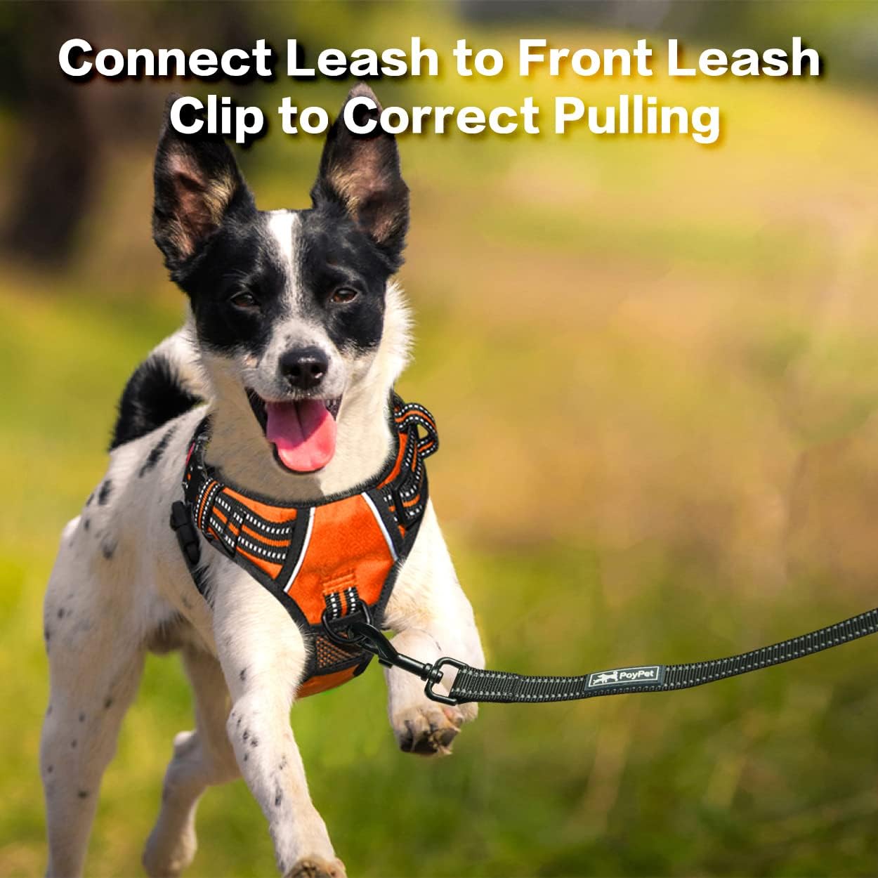 PoyPet No Pull Dog Harness, No Choke Front Clip Reflective Dog Vest with Soft Padded Vertical Handle, 3 Leash Attachments for Small Medium Large Dogs (Orange,L)