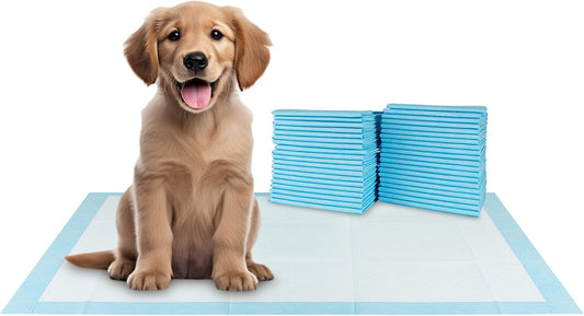 BV XXL Puppy Pads 40 Count 30" x 36" - Leak-Proof Pee Pads for Dogs with 6-Layer Design, Rapid Dry Sheet & Attractant - Dog Pad Extra Large with Odor Control - Perfect for Big Dogs & Indoor Use