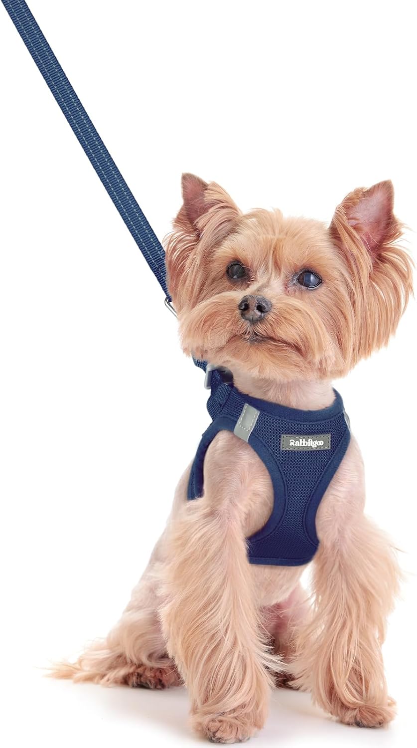 rabbitgoo Dog Harness Small Sized and Leash Set, Step in Soft Light Puppy Vest, Breathable Mesh Pet Harness, Reflective for Safe Outdoor Walking, Navy Blue XXS