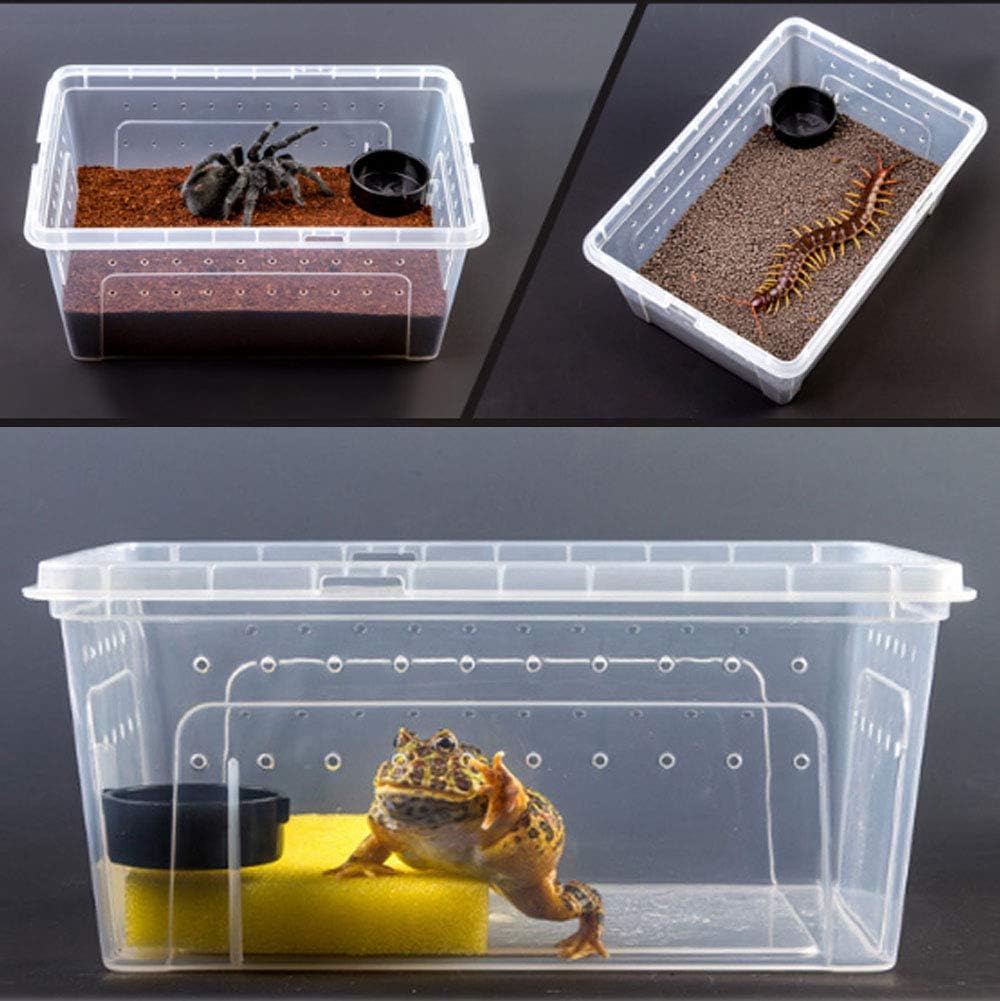 2 PCS Reptile Feeding Box Lizard Tarantula Habitat Cage Hatching Container Snake Breeding Box Transparent Portable Plastic Mini Pet Houses for Scorpion Spider Frog