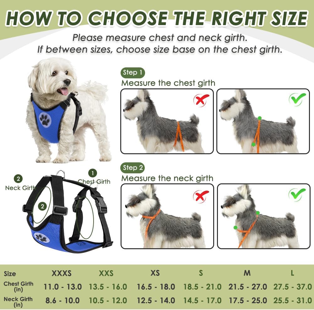 SlowTon Dog Seat Belt Harness for Car, Dog Car Harness Adjustable Mesh Breathable & Dog Seatbelt Safety Tether with Elastic Bungee for Small Medium Large Pets(Blue, Double Clip, M)