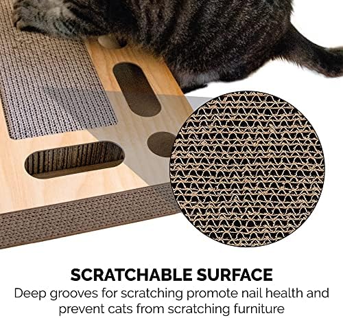 Furhaven Scratching Pad Ball Track Cat Toy w/ Catnip - Image 4