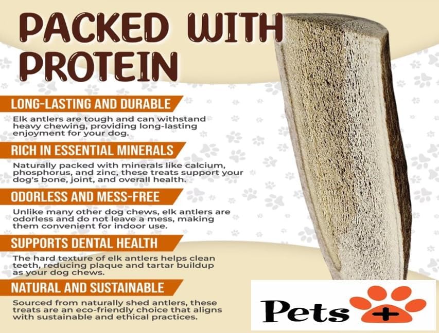 Pets Plus Split Antler Chews for Dogs – 6 Inch, Medium, 2-Pack – Natural Deer Antlers, Long-Lasting Dog Chew Bones, Odor-Free, for Aggressive Chewers & Dental Health