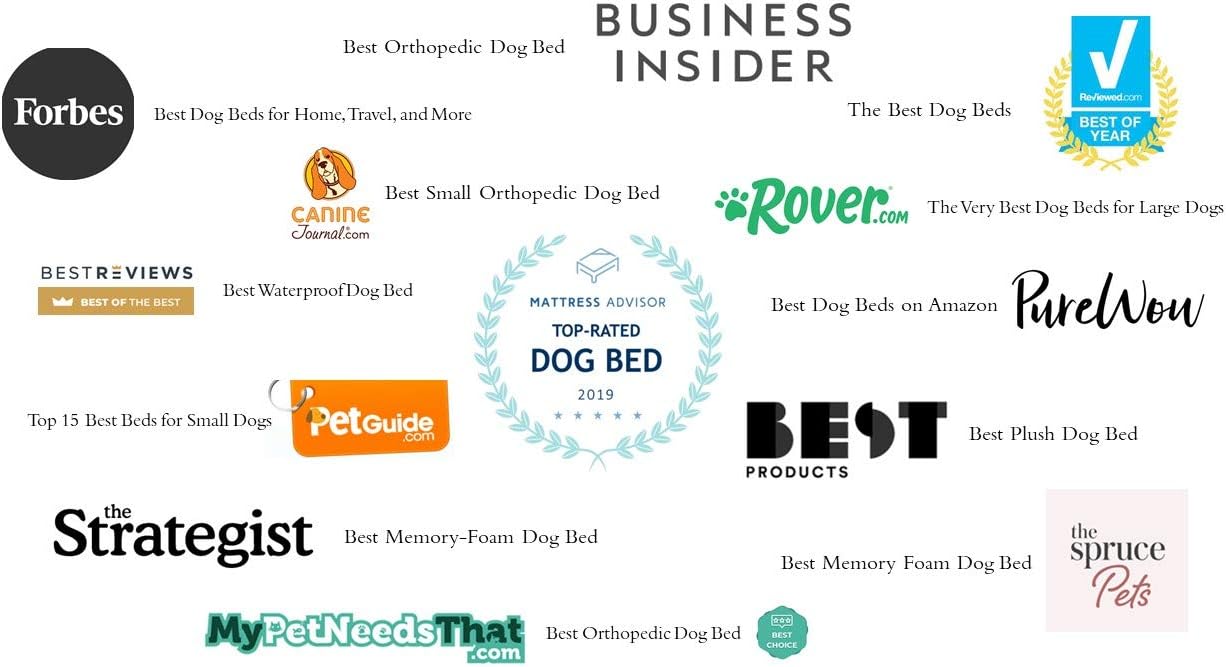 PetFusion Ultimate Dog Bed, Orthopedic Memory Foam, Multiple Sizes and Colors, Medium Firmness Pillow, Waterproof Liner, YKK Zippers, Breathable 35% Cotton Cover