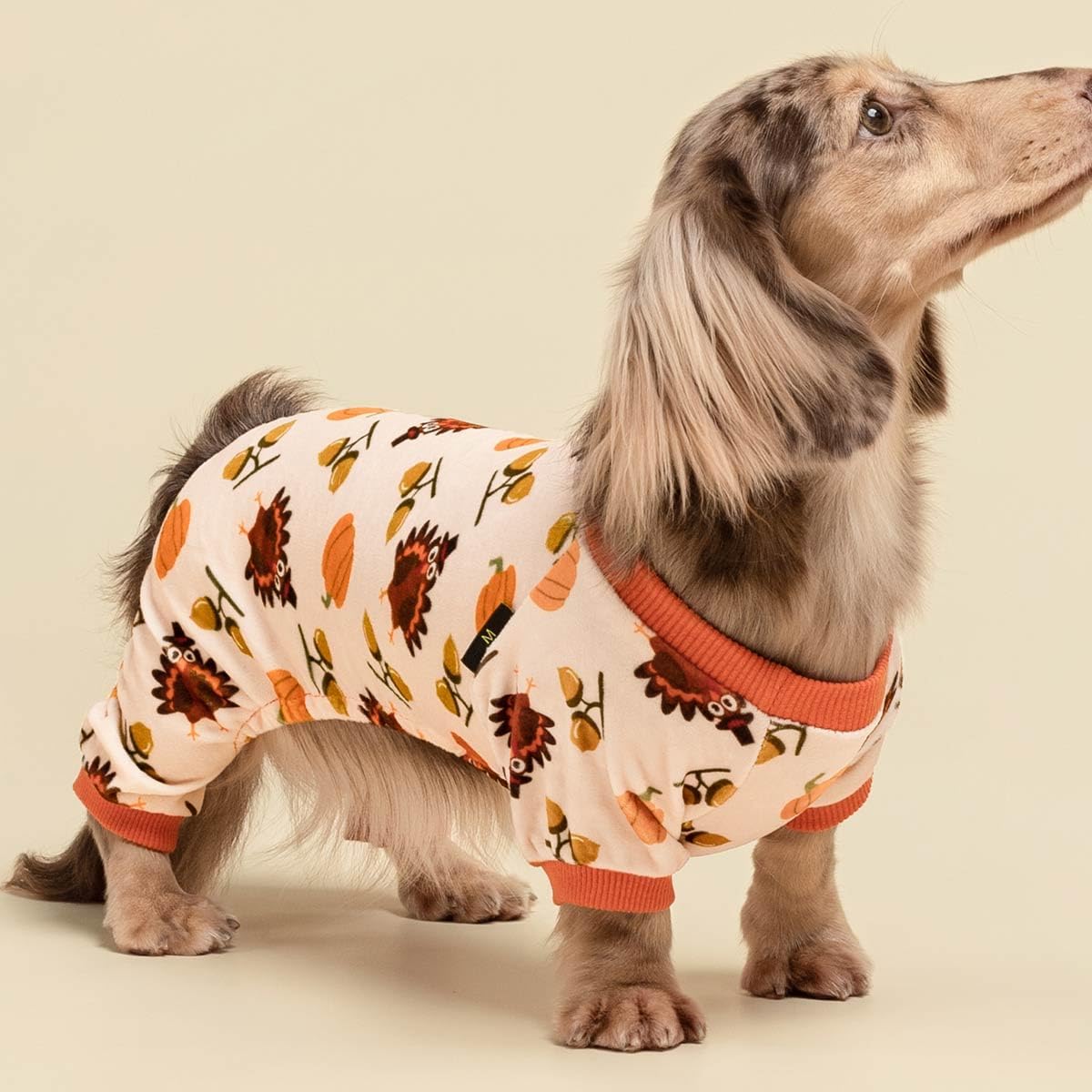 Fitwarm Thanksgiving Turkey Dog Pajamas, Funny Dog Winter Clothes for Small Dogs Girl Boy, Pet Jumpsuit, Cat Onesie with Feet, Lightweight Velvet, Orange, XS