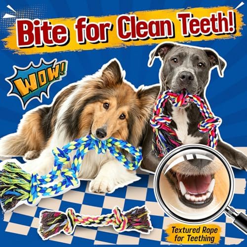 Forfon Tough & Strong Dog Toy for Aggressive Chewers – Tough Chew Toys for - Image 5