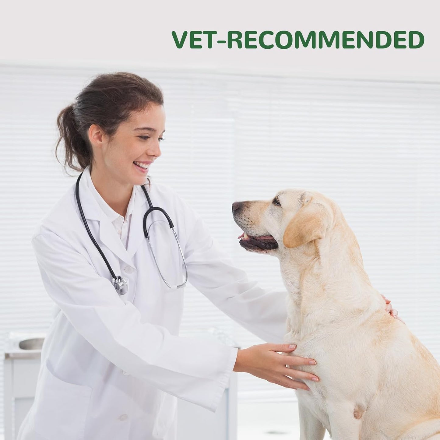 Dog Allergy Relief Chews, Dog Itch Relief Chews for Large Dogs Paw Licking Itchy Skin, Probiotics with Astragalus Omega-3 for Seasonal Allergies Coat Immune Supplement-300ct